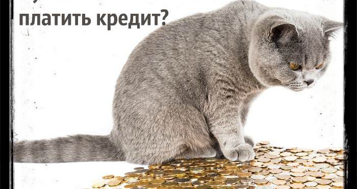 Не платить кредит